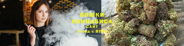 прущие грибы Краснотурьинск