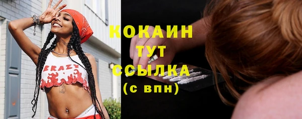 прущие грибы Краснотурьинск