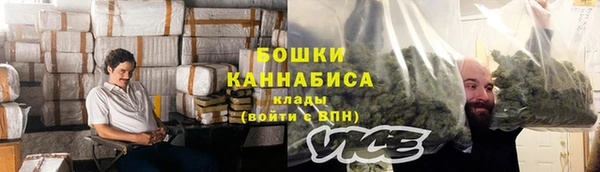 прущие грибы Краснотурьинск