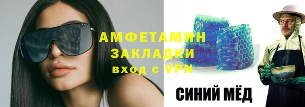 прущие грибы Краснотурьинск