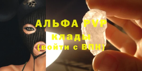 прущие грибы Краснотурьинск