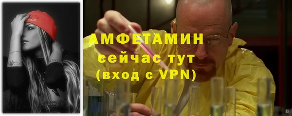прущие грибы Краснотурьинск