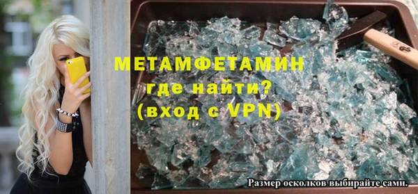 прущие грибы Краснотурьинск