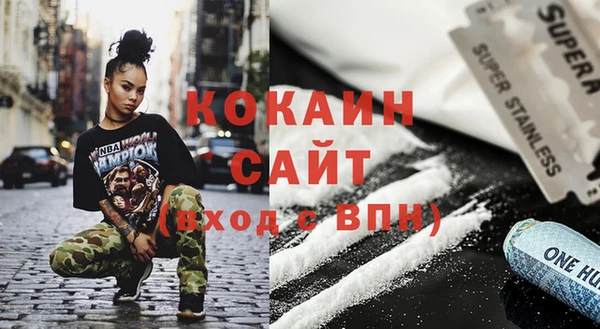 прущие грибы Краснотурьинск