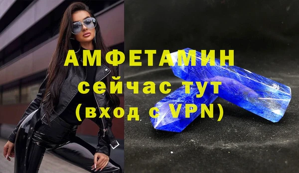 прущие грибы Краснотурьинск
