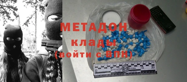 прущие грибы Краснотурьинск